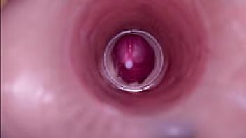 Ladytwitti446